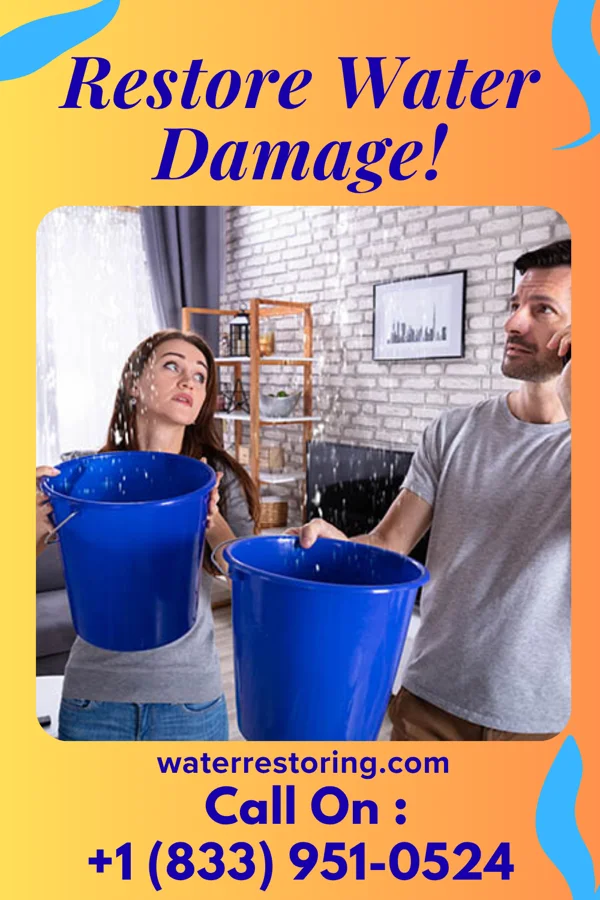 water restoration Best Water Restoration Crew Swansea
