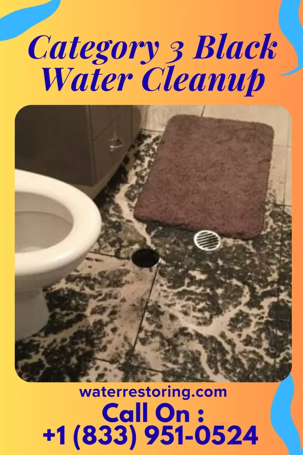 Category 3 Black Water Cleanup in Swansea, IL