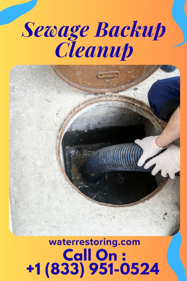 Sewage Backup Cleanup in Swansea, IL