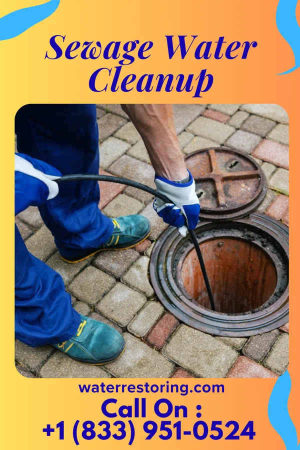 Sewage Water Cleanup in Swansea, IL